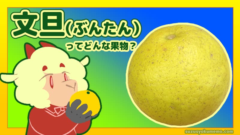 文旦ってどんな果物？