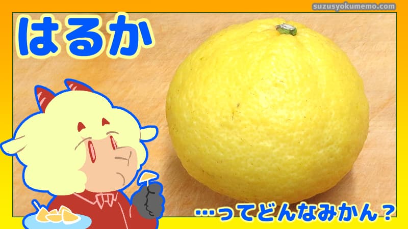 はるかってどんなみかん？