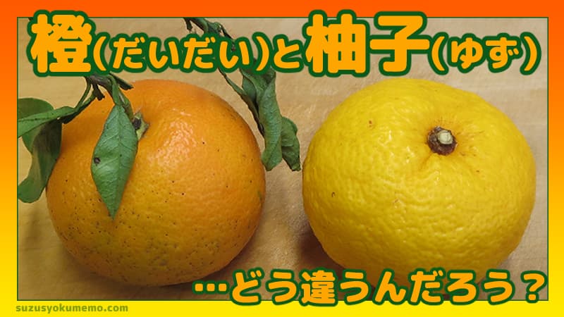 橙（だいだい）』と『柚子（ゆず』、どう違うの？ | ずーやのメモ帳