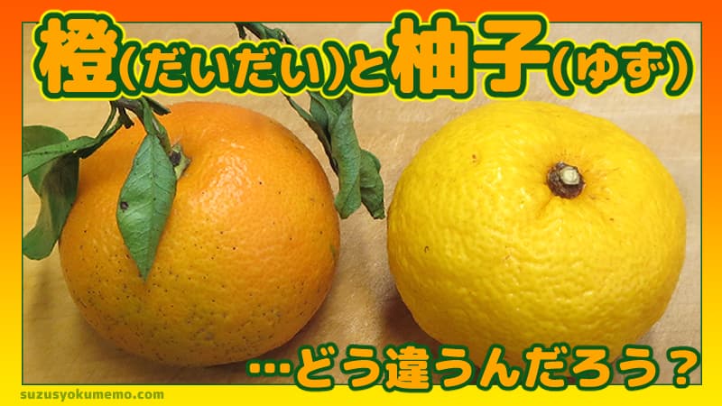 橙と柚子の違いは？