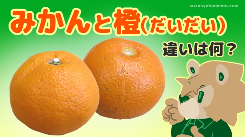 みかんと橙の違いは？