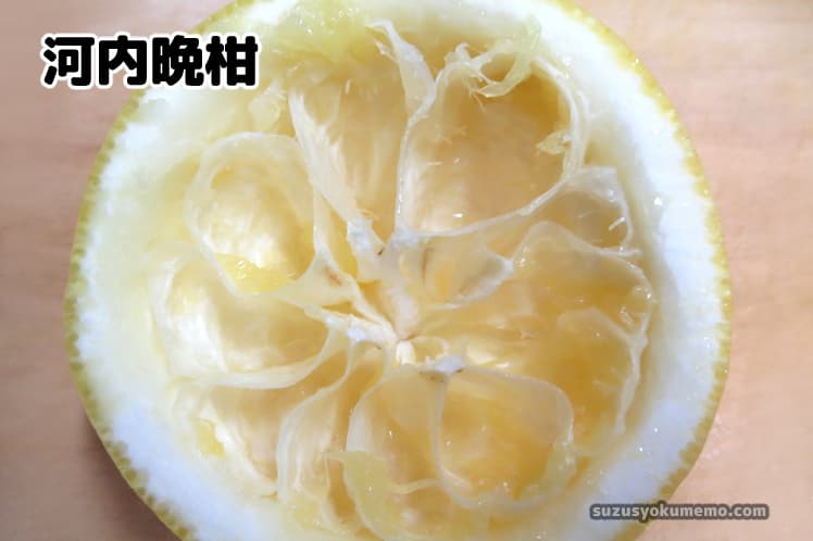 河内晩柑をスプーンで食べたあと