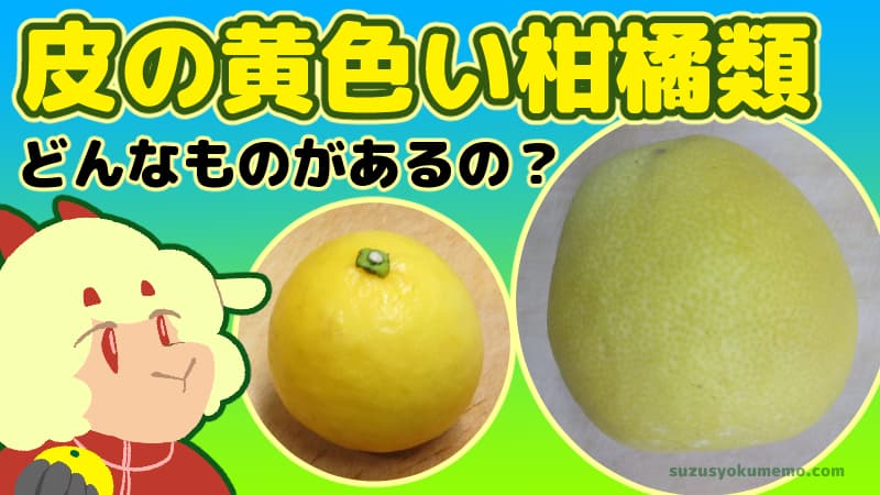 皮の黄色い柑橘類