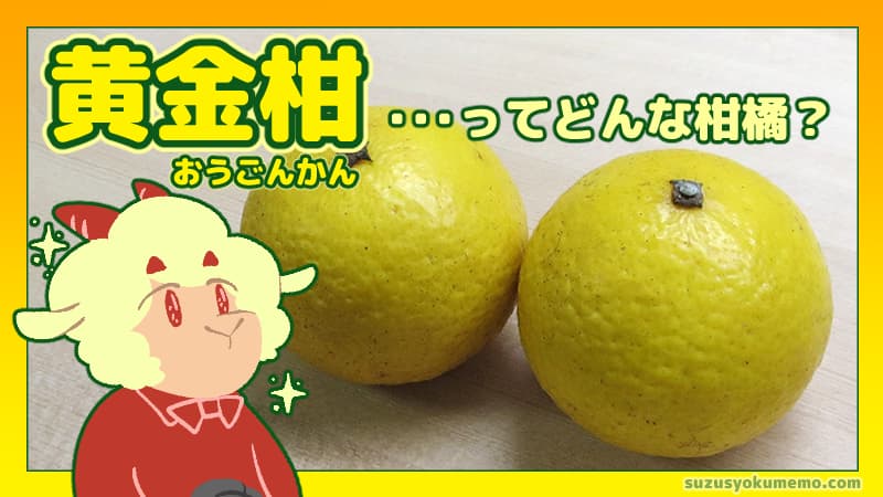 黄金柑ってどんな柑橘？