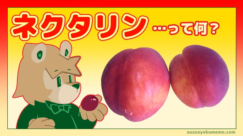 ネクタリンって何？