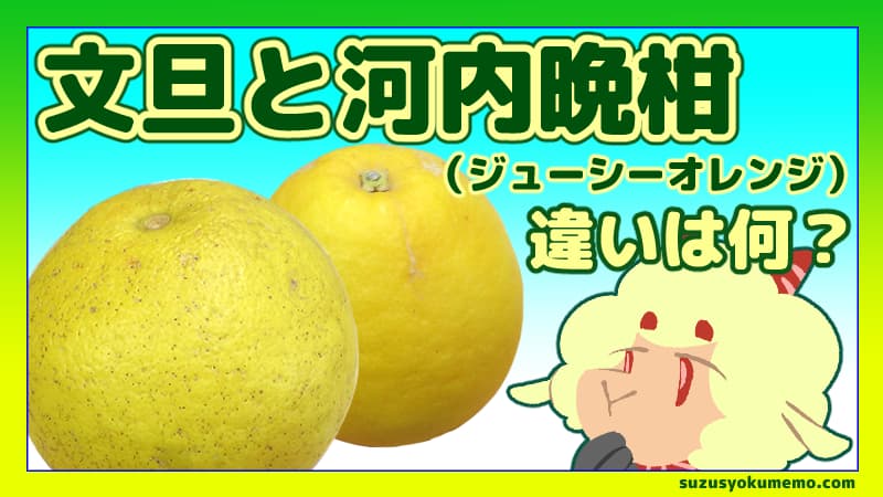 文旦と河内晩柑（ジューシーオレンジ）の違い